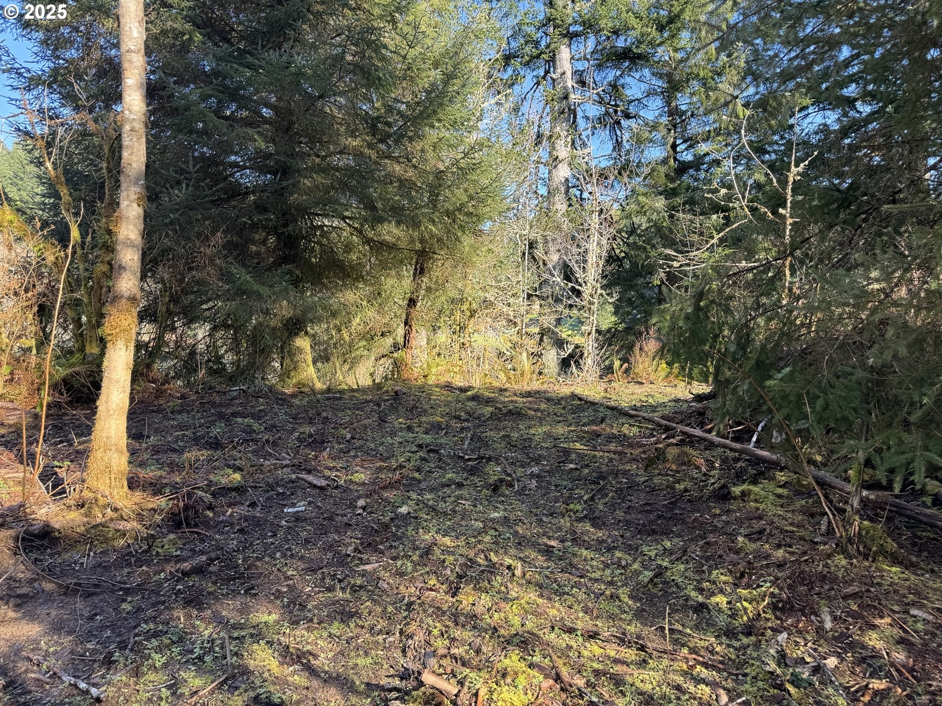 5 HILLTOP DR 1403