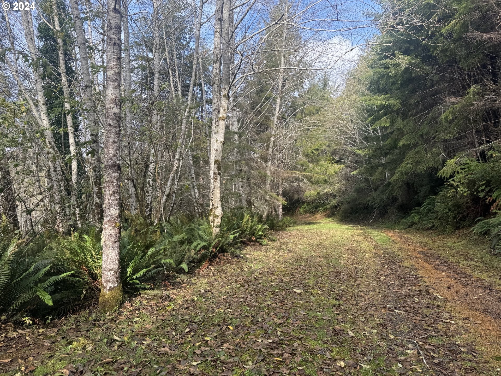 0 POTATO BOTTOM RD 603