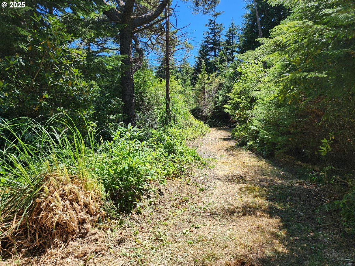 Vista DR 1100