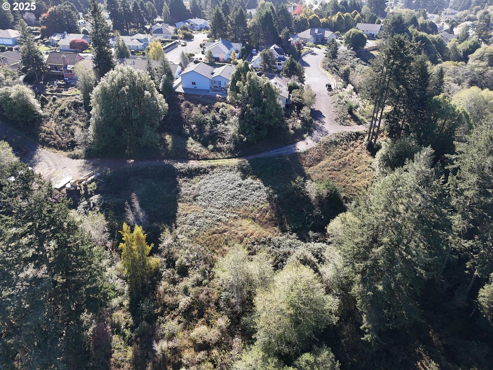 Brooke LN 4