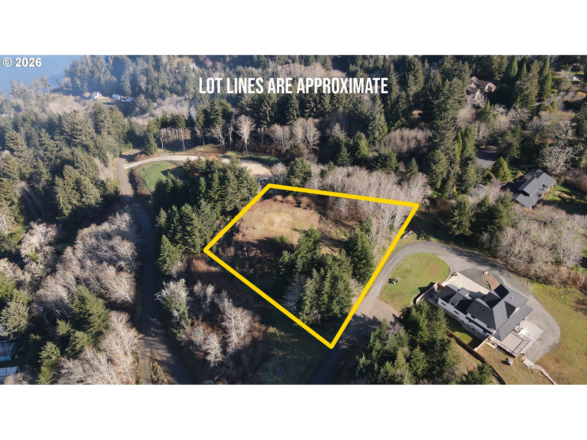 Fiddleback TL 3703