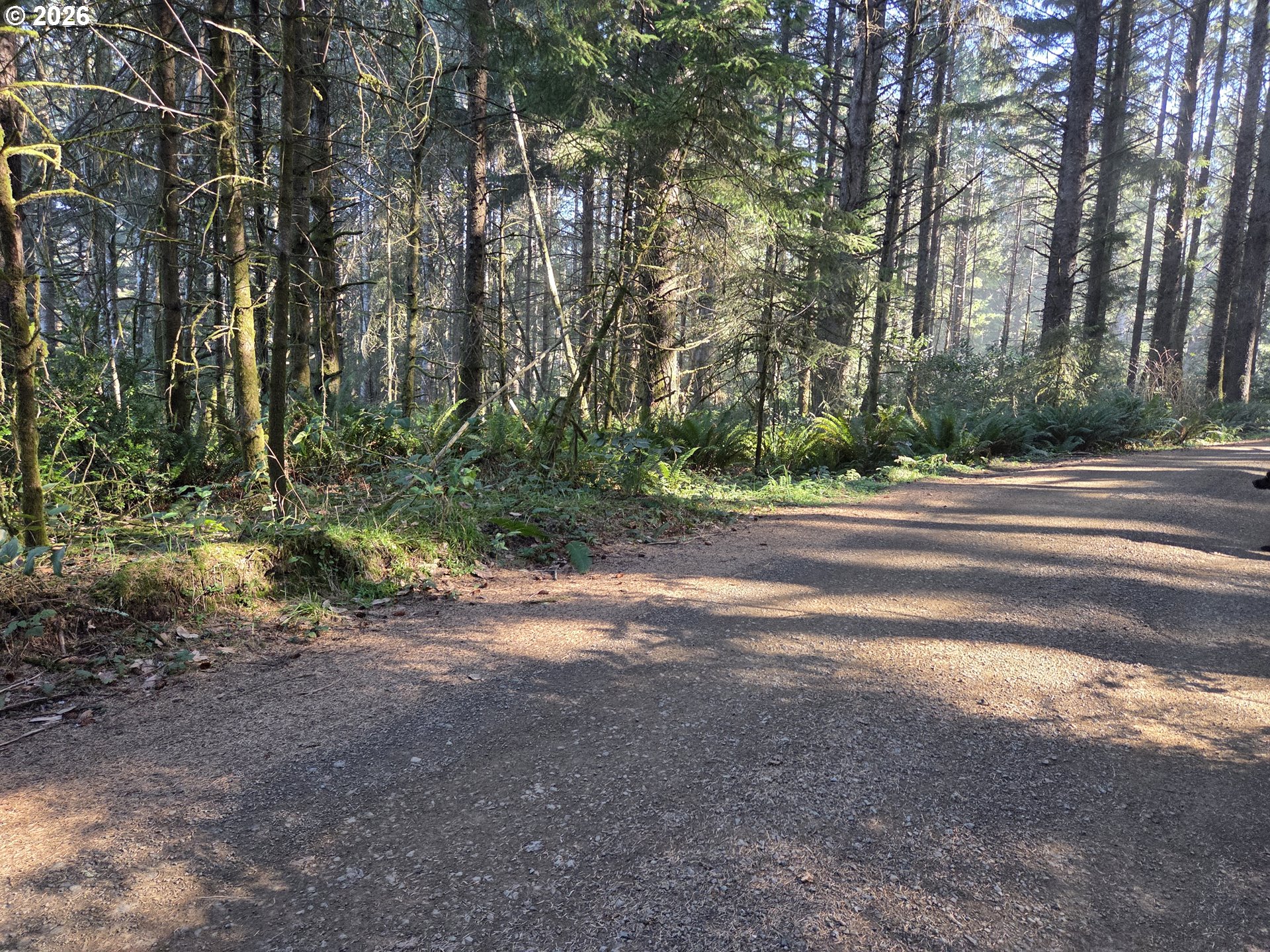 Greggs Creek RD 300