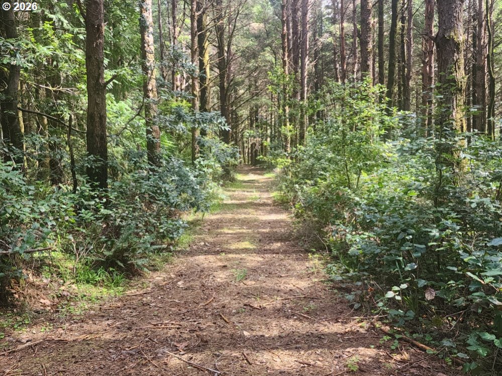 Cemetery Loop RD 2300