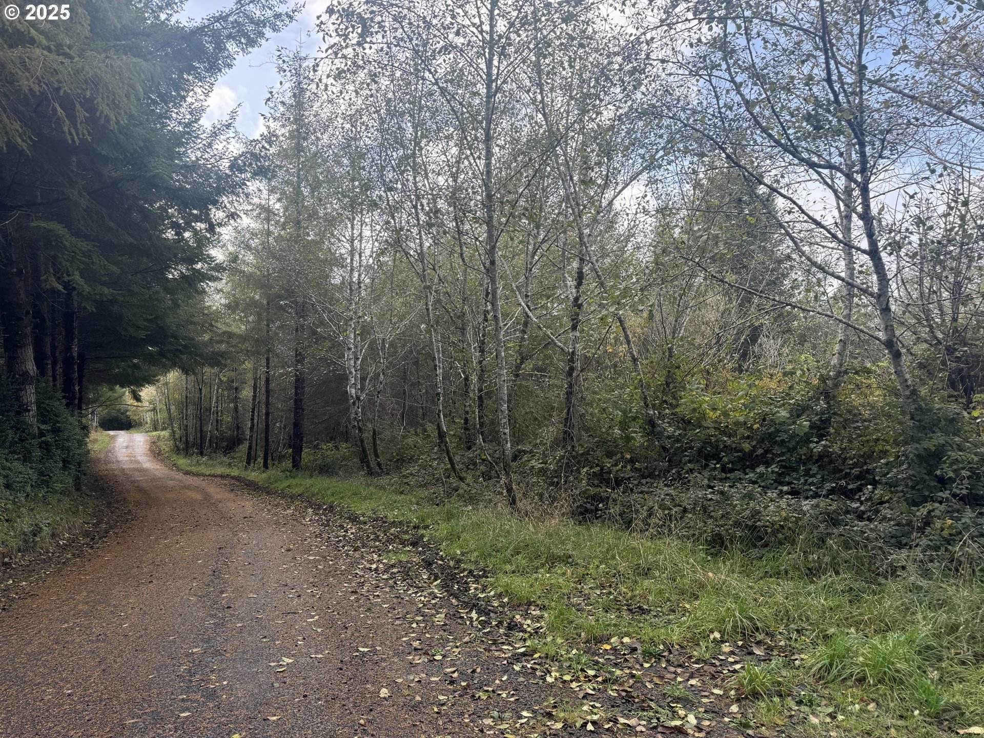 3 POTATO BOTTOM RD 604